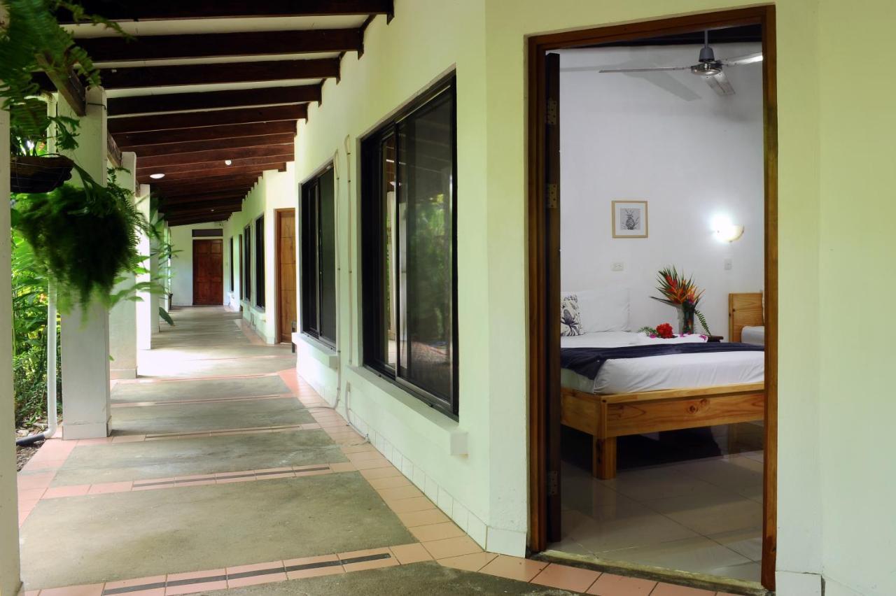 Wide Mouth Frog Quepos Hostel Manuel Antonio Exterior photo