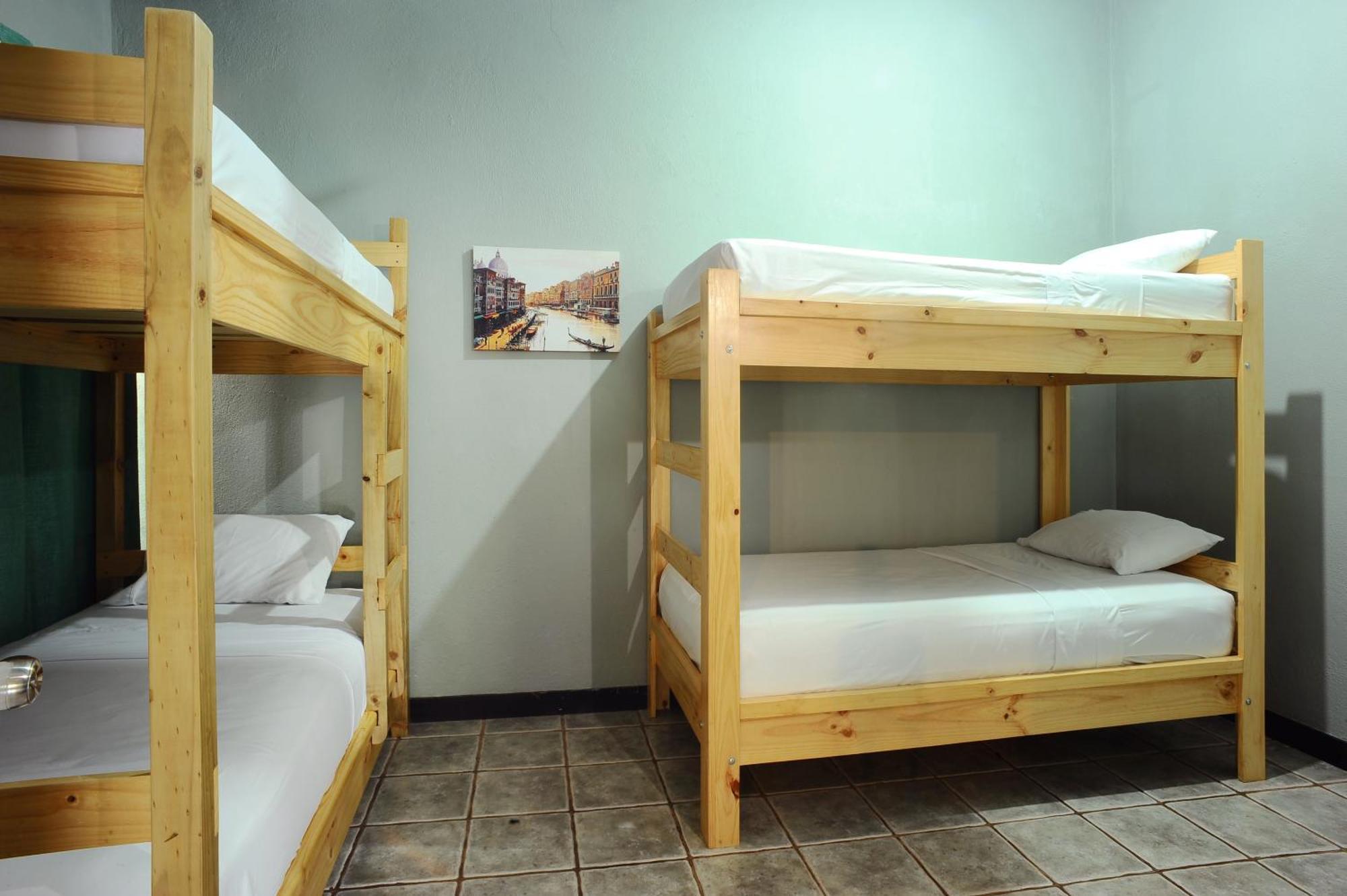 Wide Mouth Frog Quepos Hostel Manuel Antonio Exterior photo