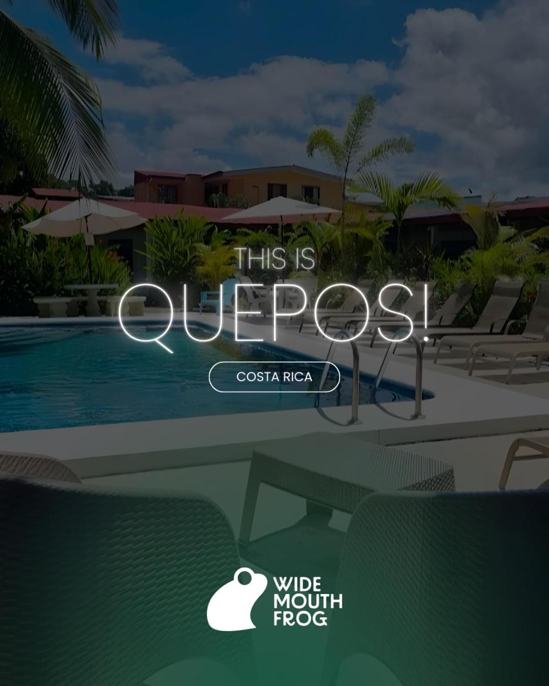 Wide Mouth Frog Quepos Hostel Manuel Antonio Exterior photo