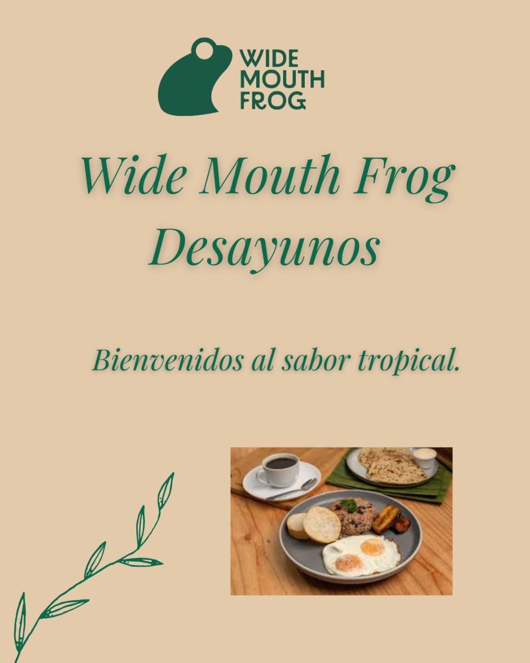 Wide Mouth Frog Quepos Hostel Manuel Antonio Exterior photo