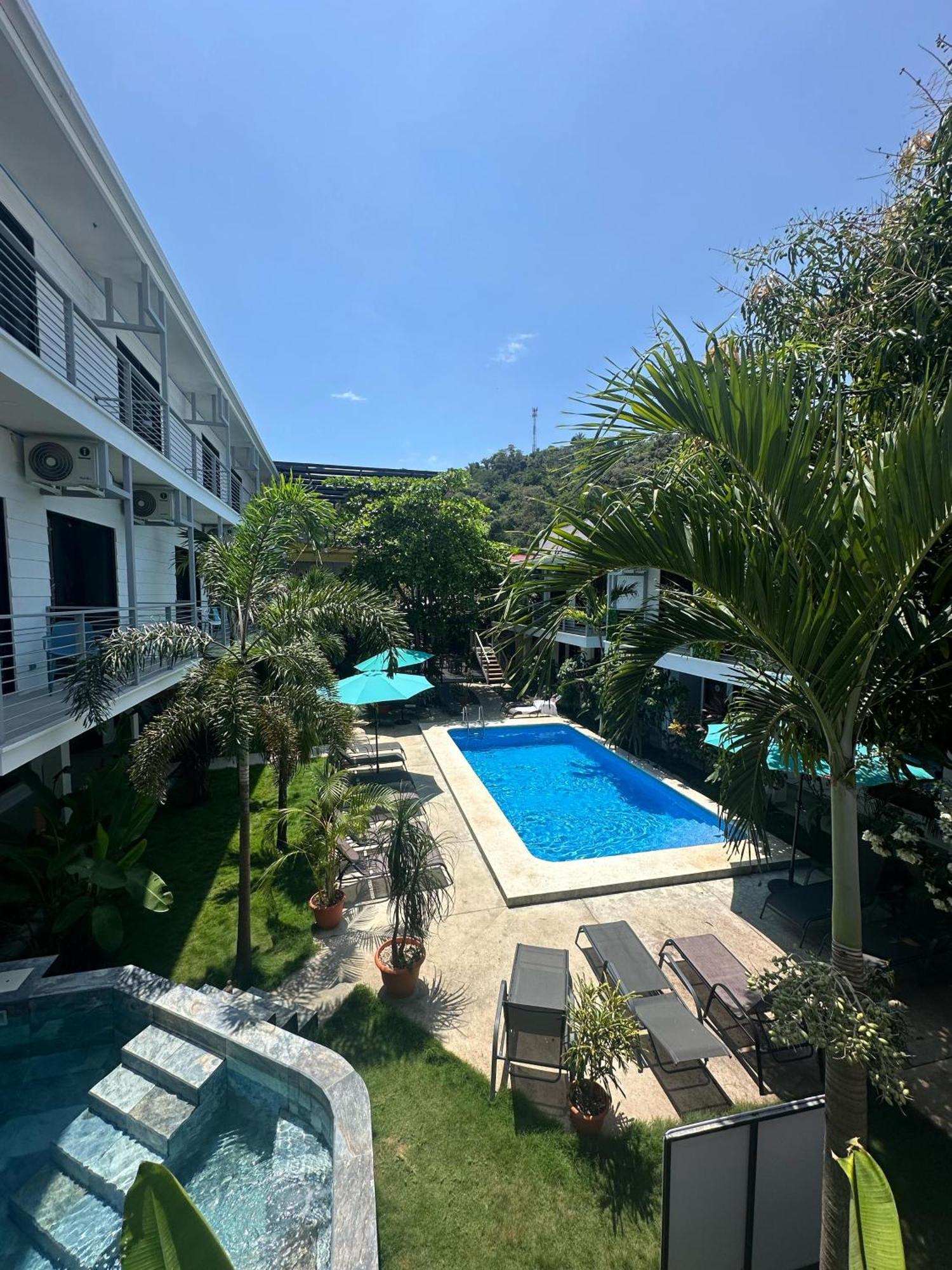 Wide Mouth Frog Quepos Hostel Manuel Antonio Exterior photo