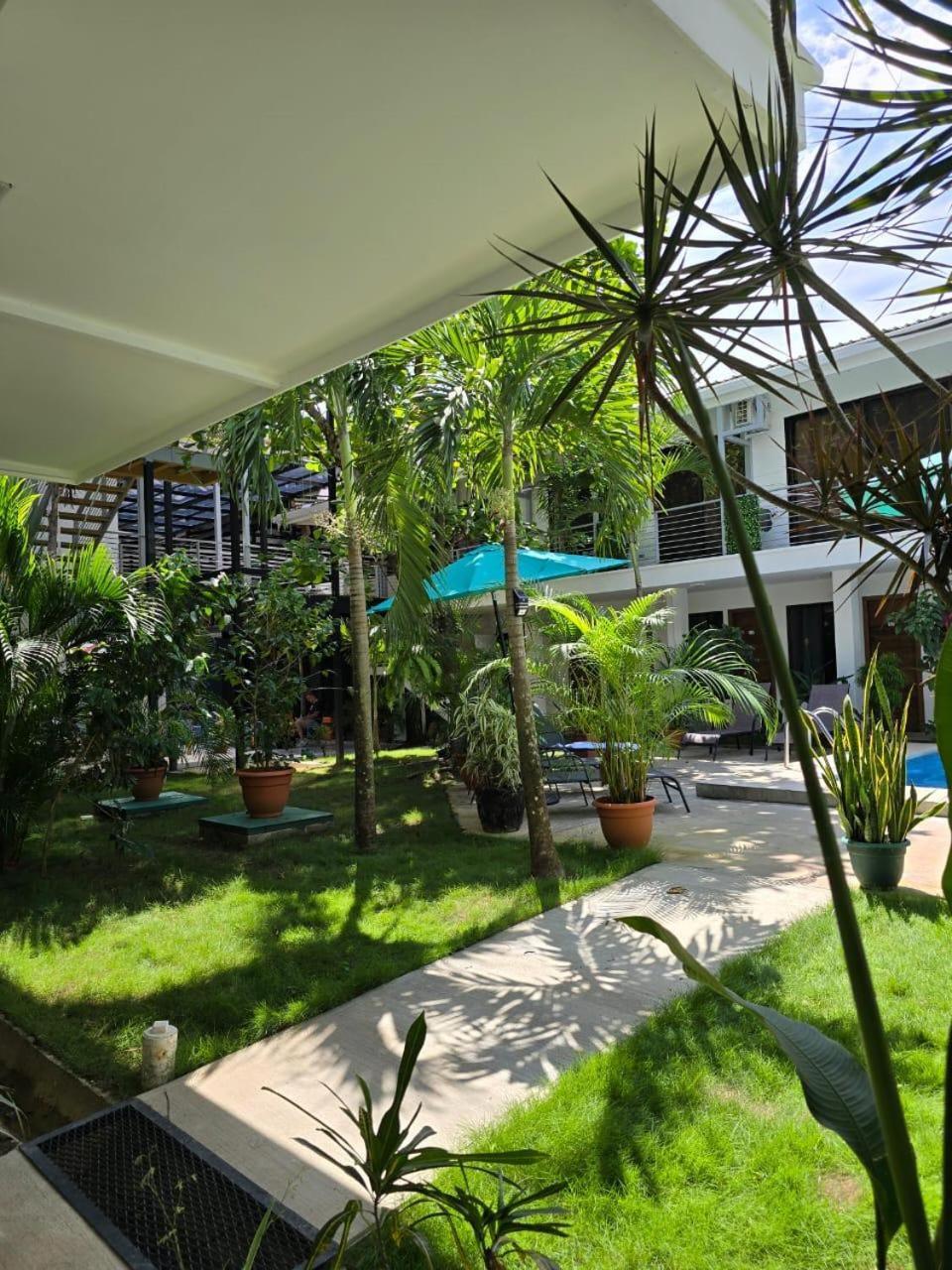 Wide Mouth Frog Quepos Hostel Manuel Antonio Exterior photo