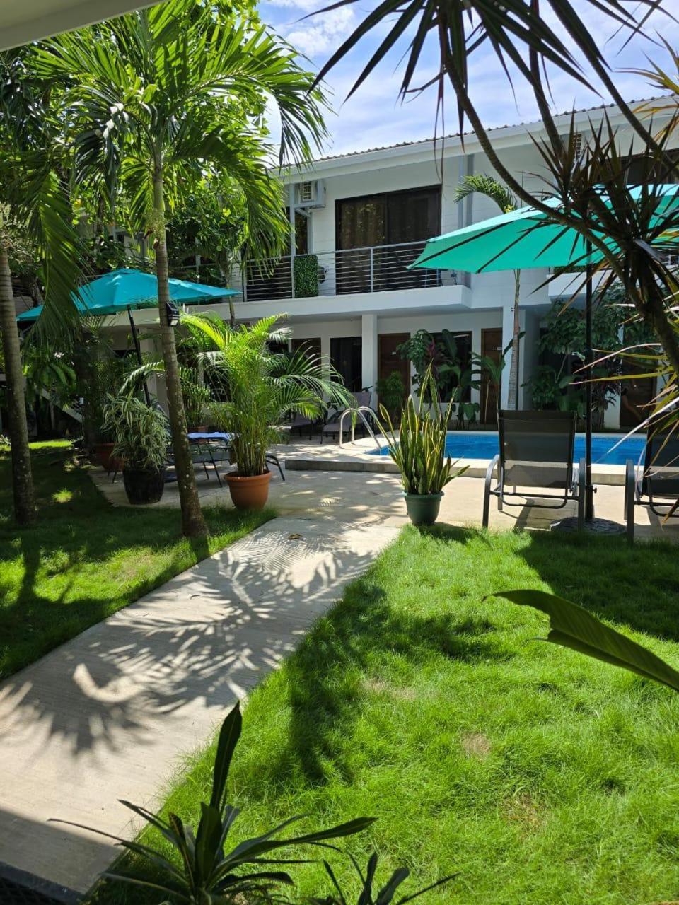 Wide Mouth Frog Quepos Hostel Manuel Antonio Exterior photo