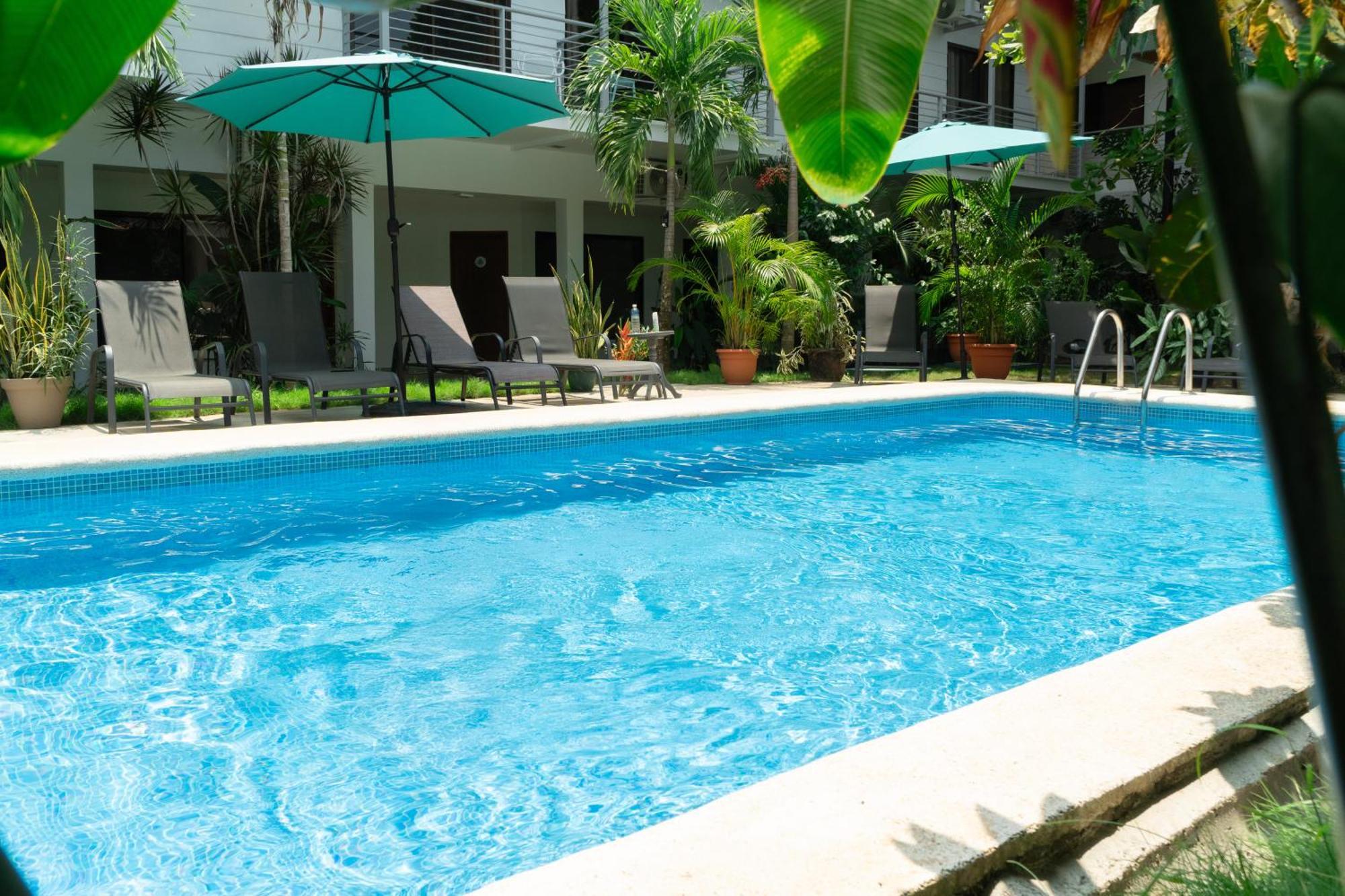 Wide Mouth Frog Quepos Hostel Manuel Antonio Exterior photo