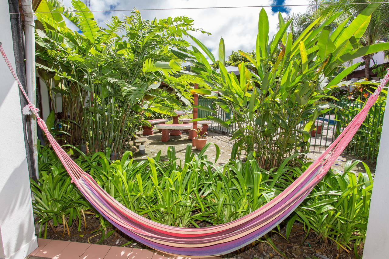 Wide Mouth Frog Quepos Hostel Manuel Antonio Exterior photo